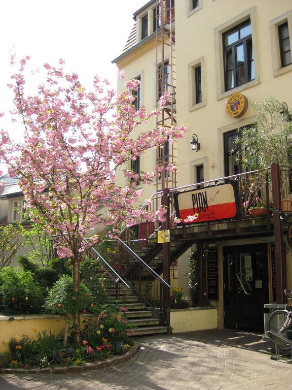 Louise 20 Hostel Dresden